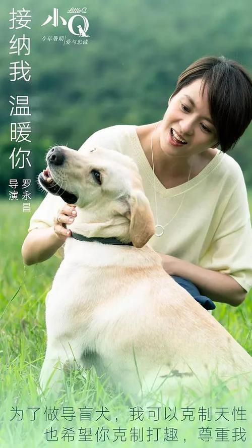 哪里能买到大师神学院文凭毕业证